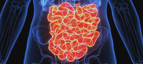 Intestinal Swelling one of Reason for Digestive Disorder